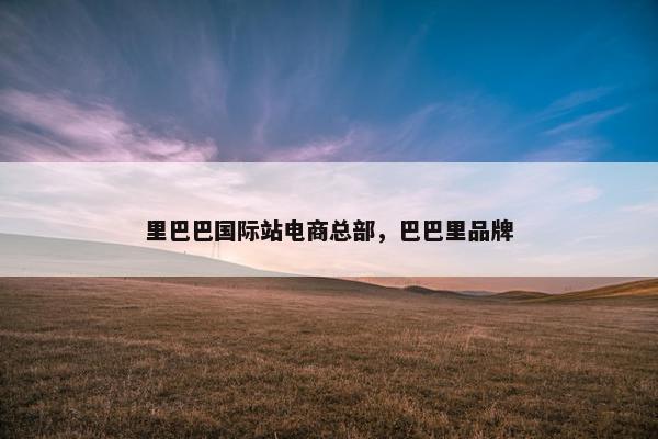 里巴巴国际站电商总部，巴巴里品牌