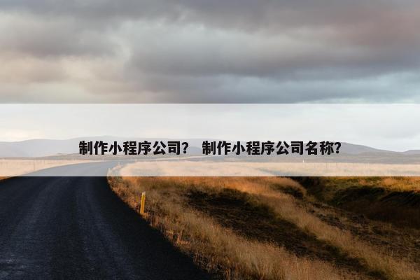 制作小程序公司？ 制作小程序公司名称？