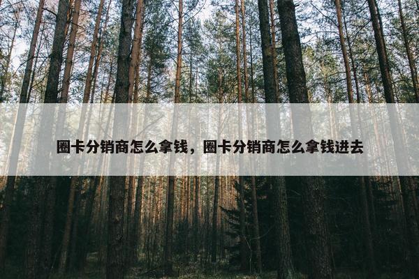 圈卡分销商怎么拿钱，圈卡分销商怎么拿钱进去