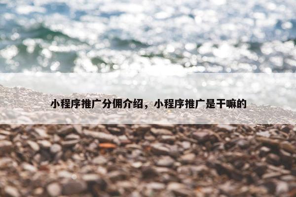 小程序推广分佣介绍，小程序推广是干嘛的