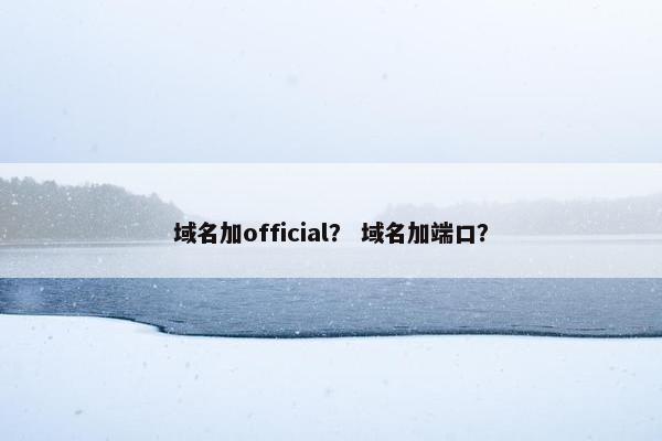 域名加official？ 域名加端口？