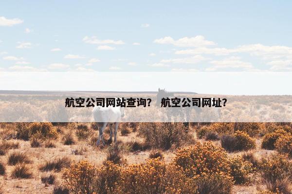 航空公司网站查询？ 航空公司网址？