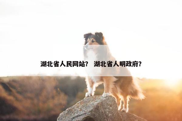 湖北省人民网站？ 湖北省人明政府？