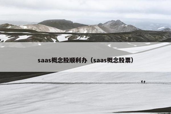 saas概念股顺利办（saas概念股票）