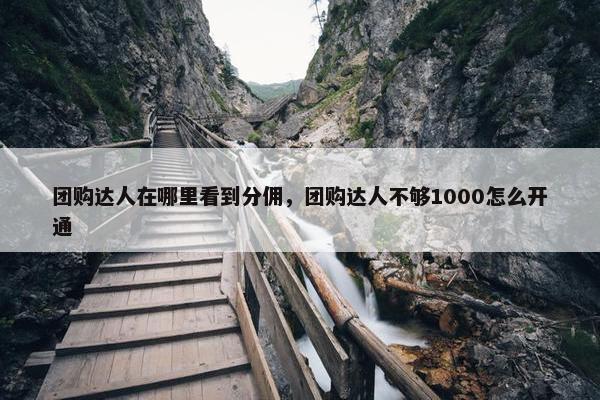 团购达人在哪里看到分佣，团购达人不够1000怎么开通