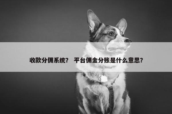 收款分佣系统？ 平台佣金分账是什么意思？