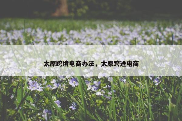 太原跨境电商办法，太原跨进电商