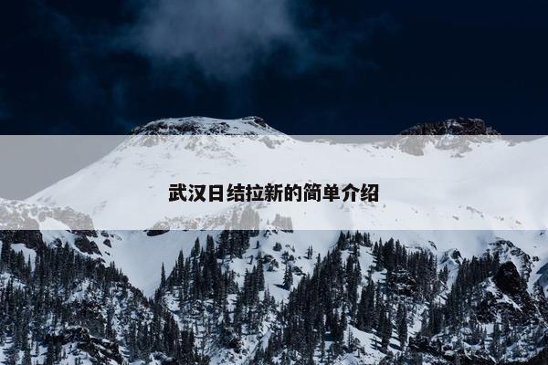 武汉日结拉新的简单介绍
