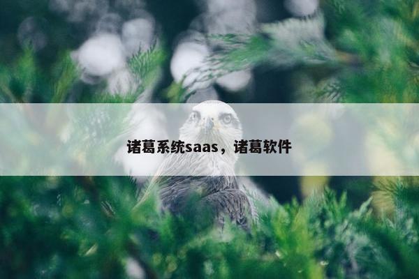 诸葛系统saas，诸葛软件