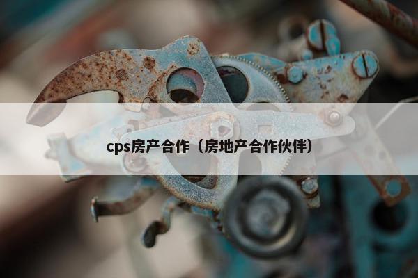cps房产合作（房地产合作伙伴）