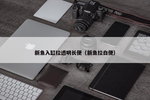 新鱼入缸拉透明长便（新鱼拉白便）