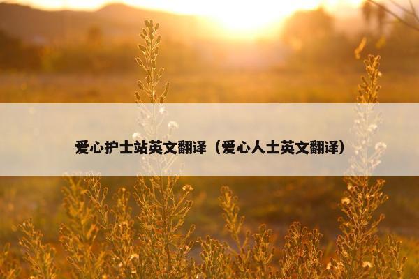 爱心护士站英文翻译（爱心人士英文翻译）