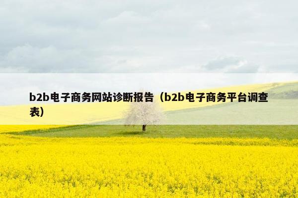 b2b电子商务网站诊断报告（b2b电子商务平台调查表）