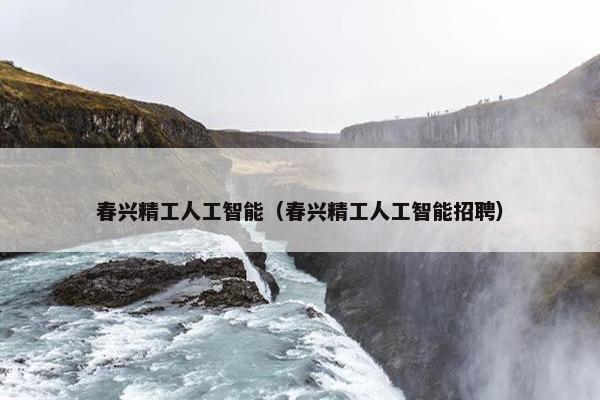 春兴精工人工智能（春兴精工人工智能招聘）