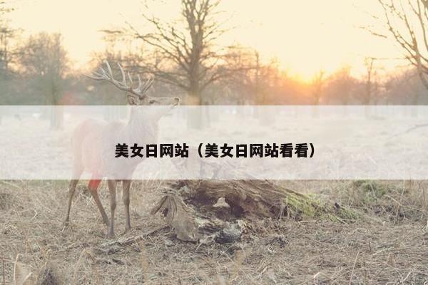 美女日网站（美女日网站看看）
