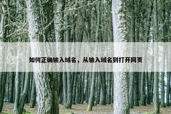 如何正确输入域名，从输入域名到打开网页