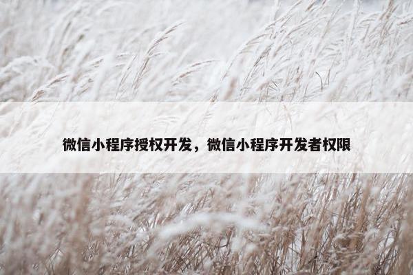 微信小程序授权开发，微信小程序开发者权限