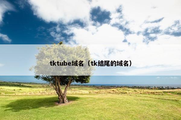 tktube域名（tk结尾的域名）