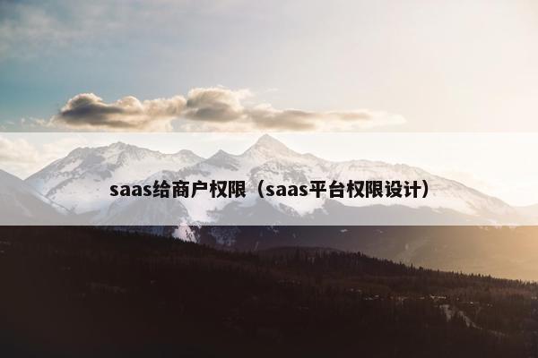 saas给商户权限（saas平台权限设计）