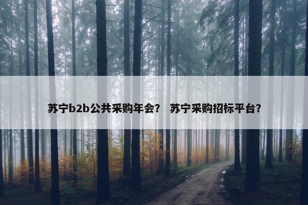 苏宁b2b公共采购年会？ 苏宁采购招标平台？