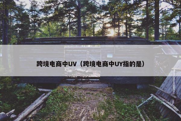 跨境电商中UV（跨境电商中UY指的是）