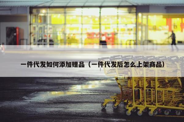 一件代发如何添加赠品（一件代发后怎么上架商品）