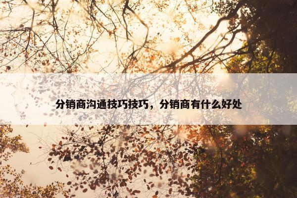 分销商沟通技巧技巧，分销商有什么好处