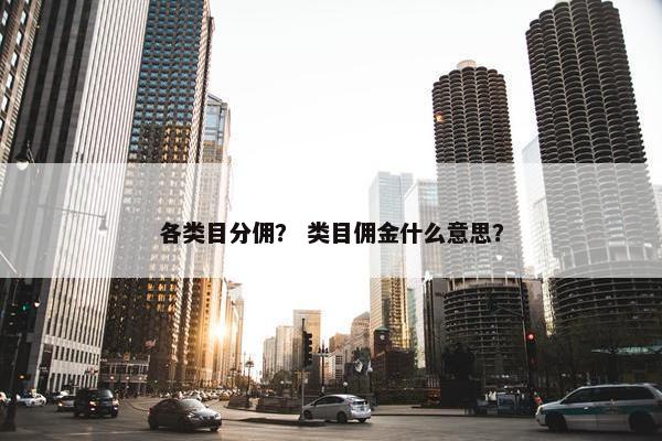 各类目分佣？ 类目佣金什么意思？