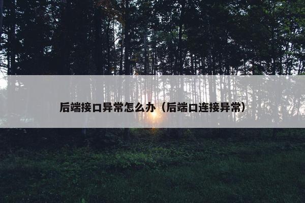后端接口异常怎么办（后端口连接异常）