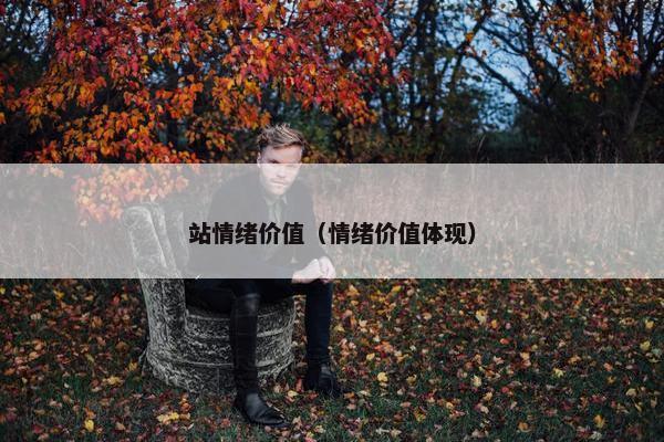 站情绪价值（情绪价值体现）