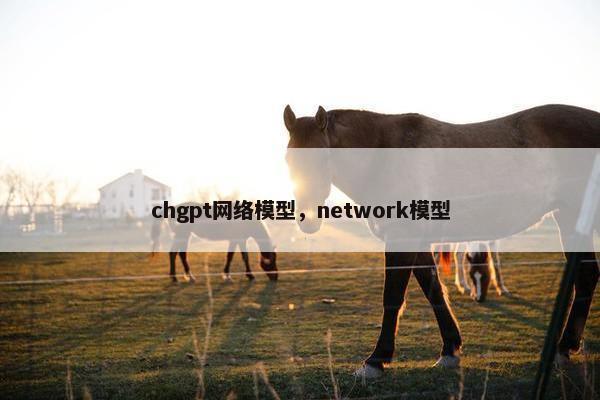 chgpt网络模型，network模型