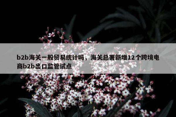 b2b海关一般贸易统计吗，海关总署新增12个跨境电商b2b出口监管试点