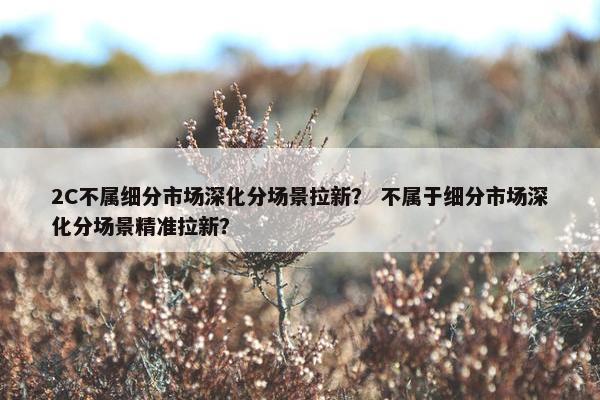 2C不属细分市场深化分场景拉新？ 不属于细分市场深化分场景精准拉新？