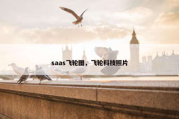saas飞轮图，飞轮科技照片