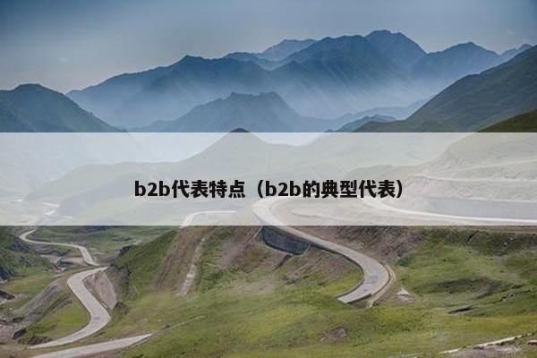 b2b代表特点（b2b的典型代表）