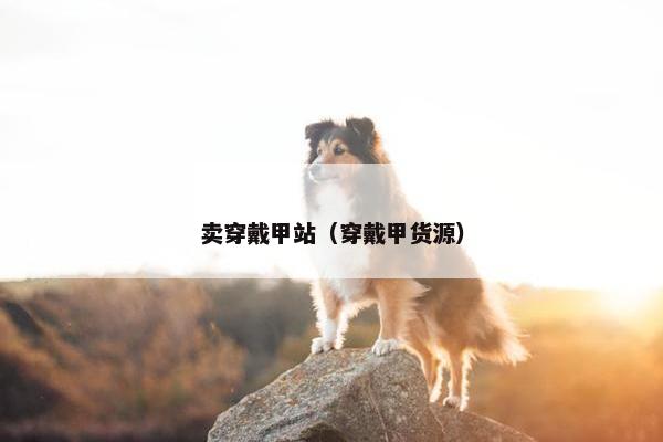 卖穿戴甲站（穿戴甲货源）