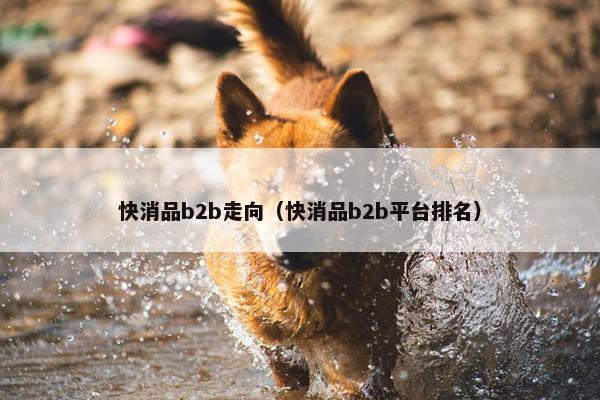 快消品b2b走向（快消品b2b平台排名）