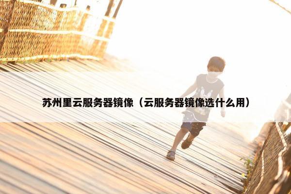苏州里云服务器镜像（云服务器镜像选什么用）