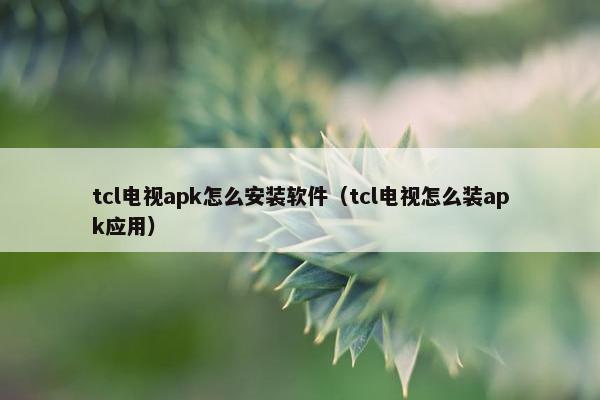 tcl电视apk怎么安装软件（tcl电视怎么装apk应用）