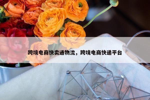 跨境电商快卖通物流，跨境电商快递平台