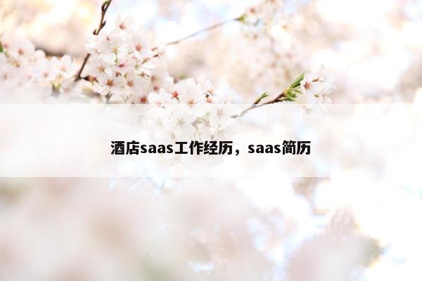 酒店saas工作经历，saas简历
