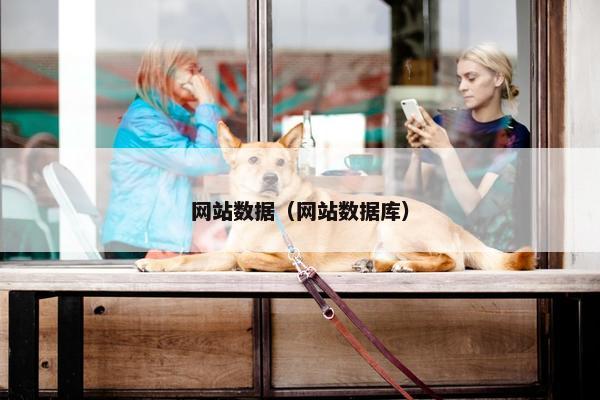 网站数据（网站数据库）