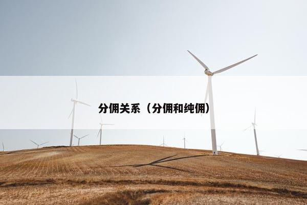 分佣关系（分佣和纯佣）