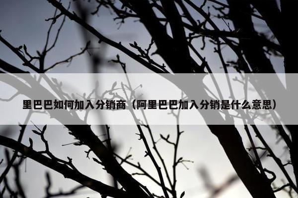 里巴巴如何加入分销商（阿里巴巴加入分销是什么意思）