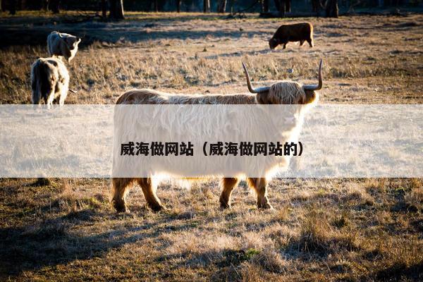 威海做网站（威海做网站的）