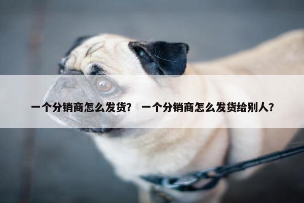 一个分销商怎么发货？ 一个分销商怎么发货给别人？