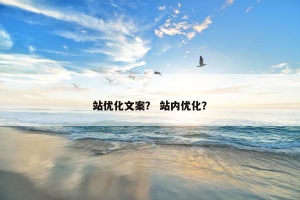 站优化文案？ 站内优化？