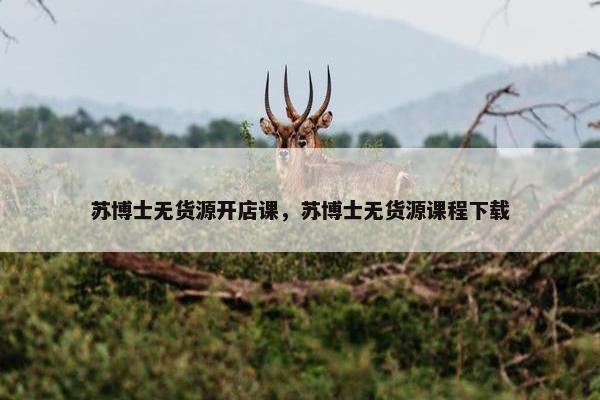 苏博士无货源开店课，苏博士无货源课程下载