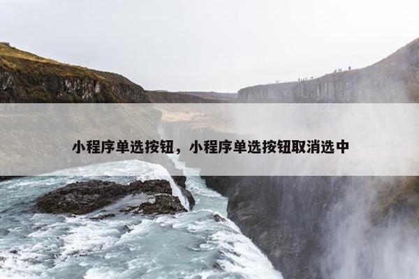 小程序单选按钮，小程序单选按钮取消选中