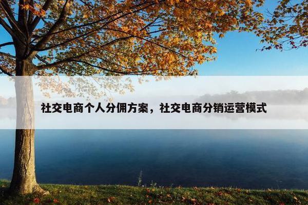 社交电商个人分佣方案，社交电商分销运营模式